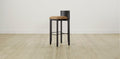 The Delancey with Onyx - Belgian Linen Chai Bar and Counter Stool